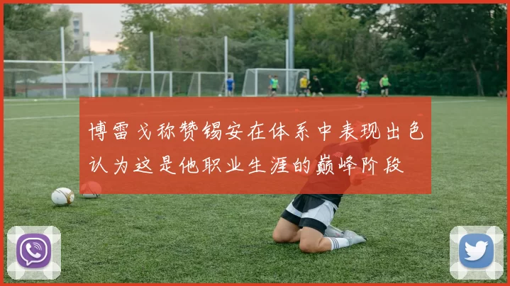 博雷戈称赞锡安在体系中表现出色认为这是他职业生涯的巅峰阶段